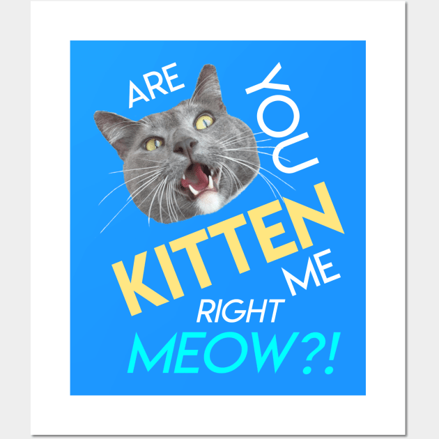 Are You Kitten Me Right Meow? Wall Art by RogerTheCat